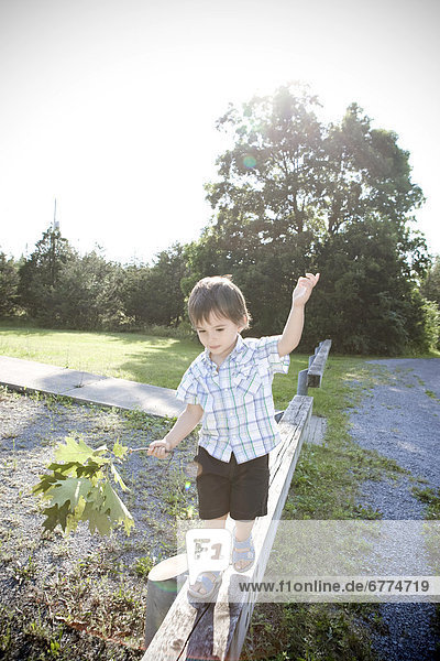 Two year old boy walking on a narrow wooden rail beam holding a tree branch  Kingston  Ontario