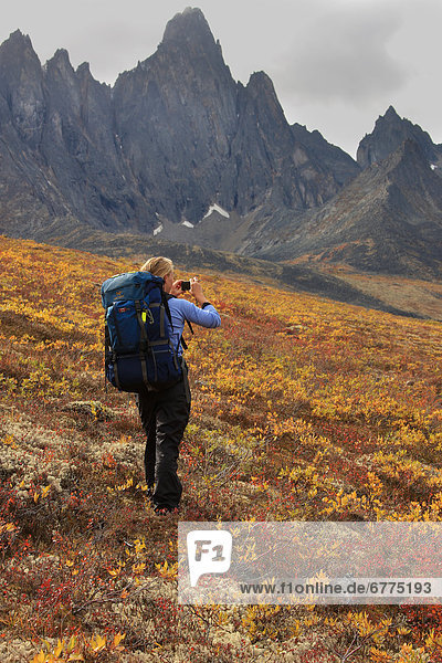 Hiker taking pictures in autumn  Tombstone Territorial Park  Yukon