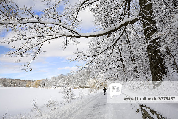 Frau Winter gehen Weg Ontario Toronto