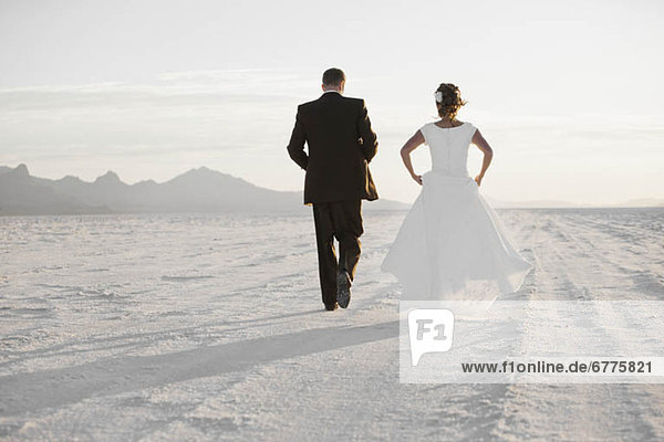 Braut  Bräutigam  halten  Wüste