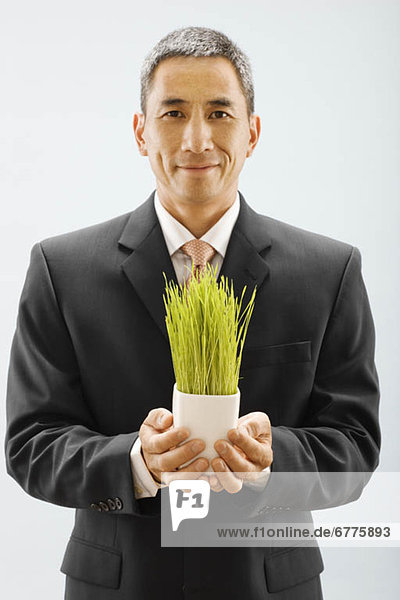 Portrait  Mann  halten  jung  Weizen  Gras  Studioaufnahme