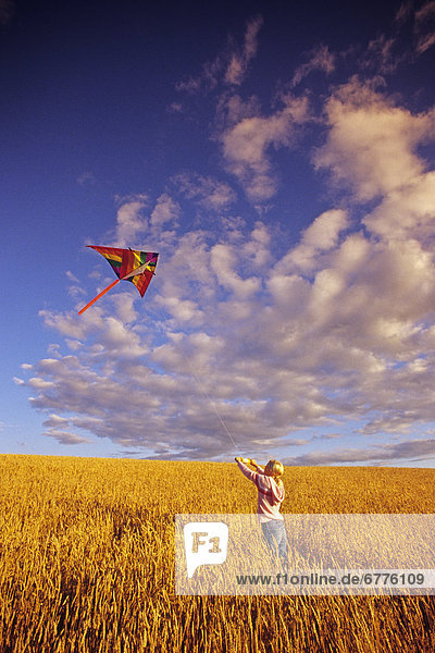 Girl Flying a Kite in a Spring Wheat Field  near Winnipeg  Manitoba