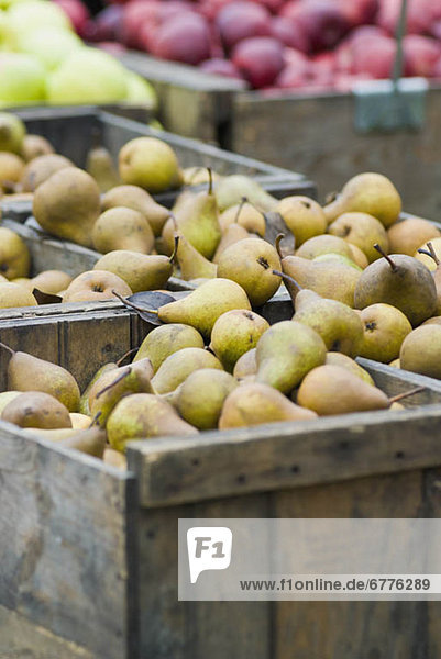Fresh pears in wooden crates