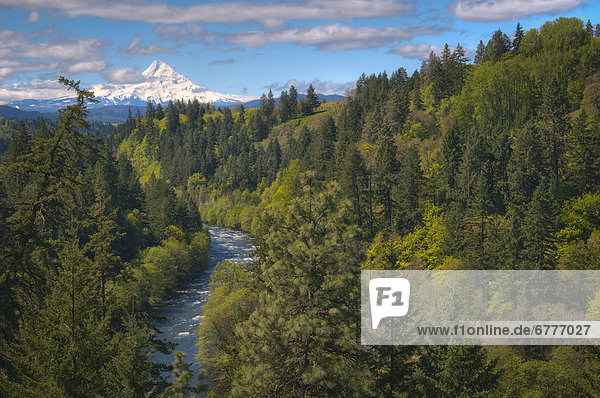 Vereinigte Staaten von Amerika  USA  hoch  oben  Hintergrund  Fluss  Ansicht  Flachwinkelansicht  Winkel  Kapuze  Oregon