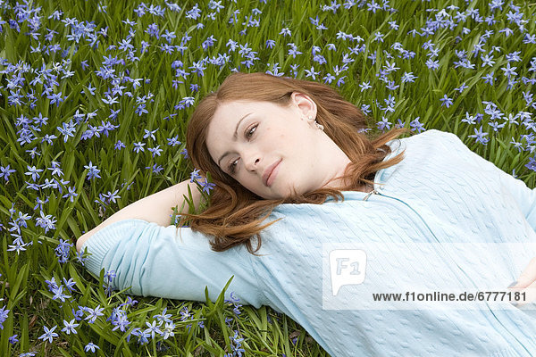 Red-haired young woman lying in a field of blue flowers  Whitby  Ontario  Canada