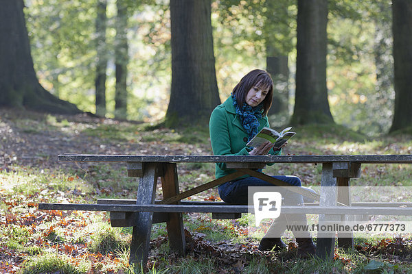The Netherlands  Veluwezoom  Posbank  Woman reading book in park