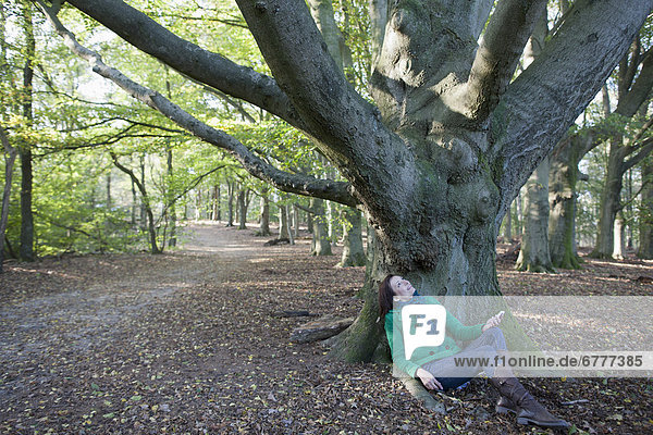 The Netherlands  Veluwezoom  Posbank  Woman sitting under tree in park