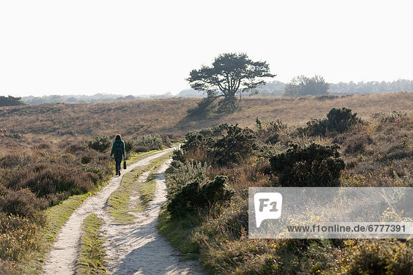 The Netherlands  Veluwezoom  Posbank  Hiker in countryside