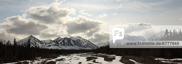 View of Quill Creek in Kluane National Park near Haines Junction  Yukon