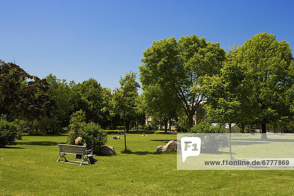 Trinity Bellwoods Park in spring  Toronto  Ontario