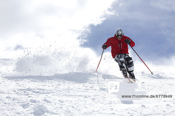 USA  Colorado  Telluride  Skier on fresh powder snow