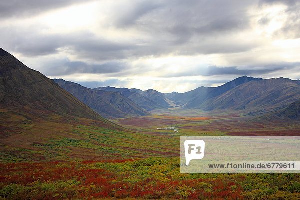 Fall colours along the Dempster Highway  Yukon