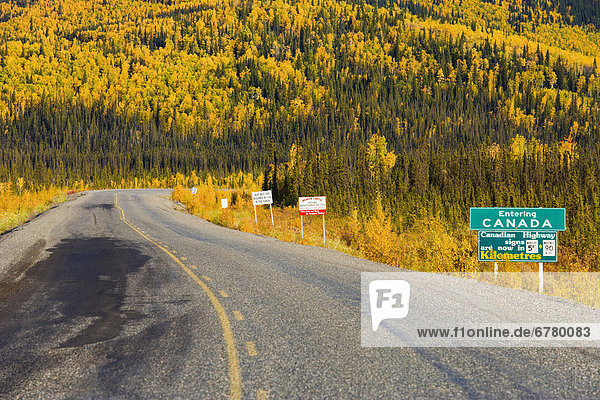 nahe  Farbaufnahme  Farbe  reinkommen  Bach  Bundesstraße  Alaska  Biber  Kanada  Yukon