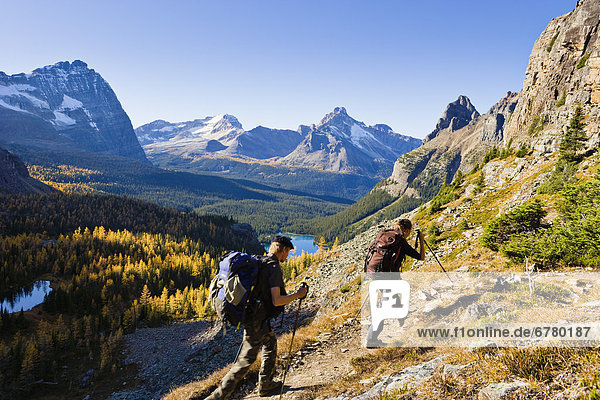 Hikers in the Opabin Plateau with Lake O'Hara in the background  Yoho National Park  British Columbia