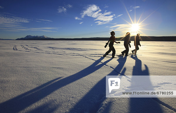 Helligkeit  Winter  See  Schneeschuh  gefroren  Sonne  Yukon
