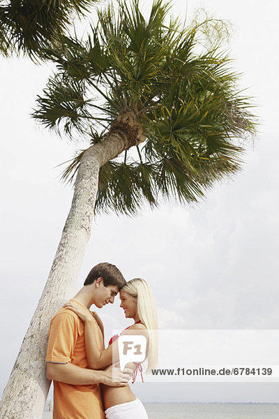 Couple hugging under palm tree