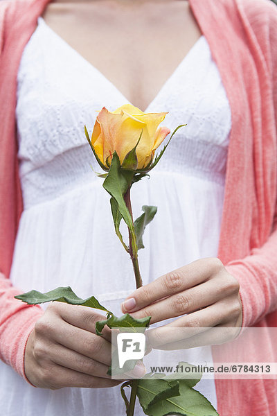 Close-up of woman holding yellow rose