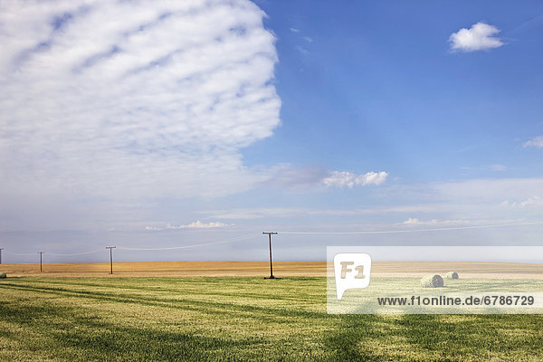Farmer's field after the harvest  rural Saskatchewan