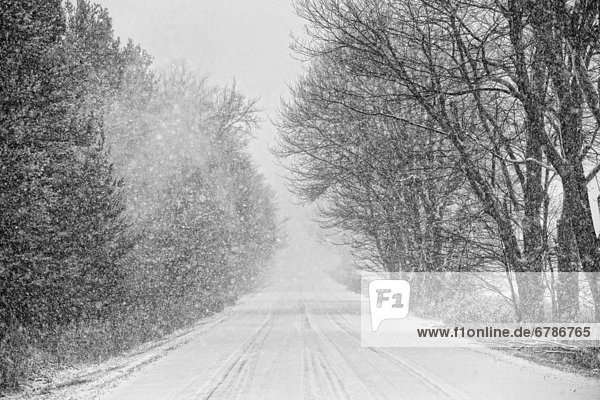Snowstorm on a country road  southwestern Ontario