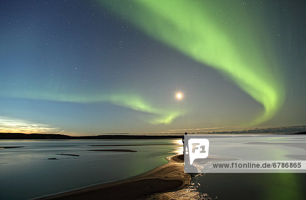 Person standing under an aurora borealis by the MacKenzie River  Fort Simpson  Northwest Territories  Canada