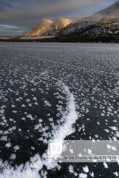 Landscape of Frozen lake in winter  Kusawa Lake Territorial Park  Yukon  Canada