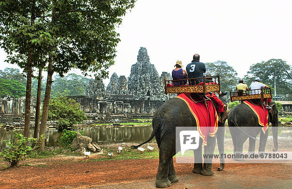 South East Asia  Cambodia  Siem Reap  Tourists take a guided elephant tours to ancient Banyon Temple.