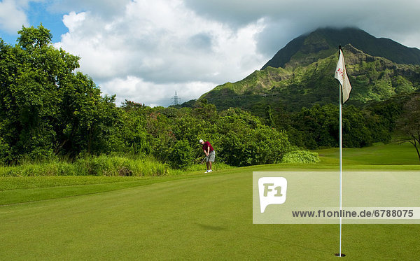 Hawaii  Oahu  Honolulu  Ko'olau Golf Course  Man putting at the fifth hole on the course.
