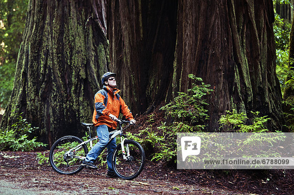 Laubwald  Landschaftlich schön  landschaftlich reizvoll  Mann  Bewunderung  folgen  radfahren  Ende  Kalifornien