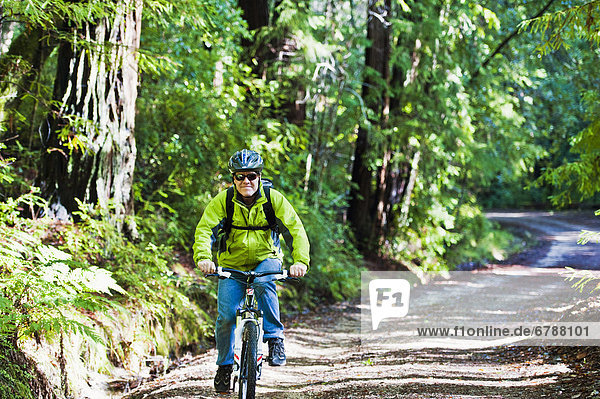 California  Big Basin Redwoods State Park  Man biking on trail in woods.