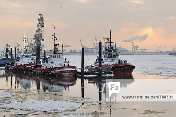 Tug boats on the Elbe river  port of Hamburg in winter  Neumuehlen  Hamburg  Germany  Europe