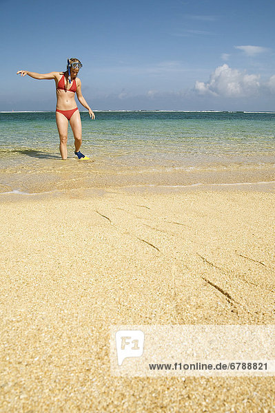 Hawaii  Kauai  Tunnels beach  A woman wearing yellow and blue fins and snorkeling gear on beach.