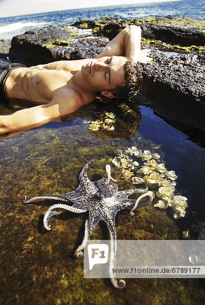 Oahu  Hawaii Tag Octopus (Octopus Cyanea) sitzen im flachen Wasser männliche Muster in den Hintergrund.