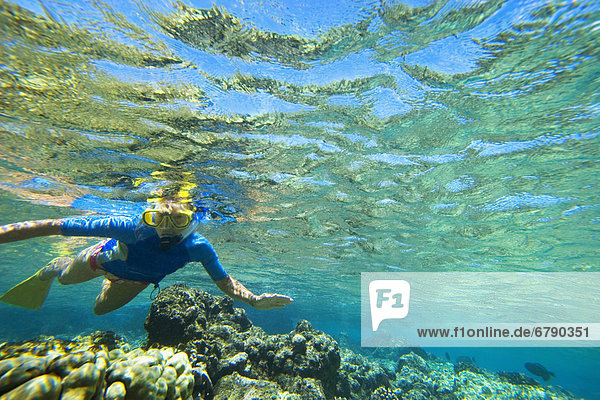 Hawaii  Maui  Makena  Ahihi Kinau Natural Area Reserve  Snorkeler in clear ocean water above reef.