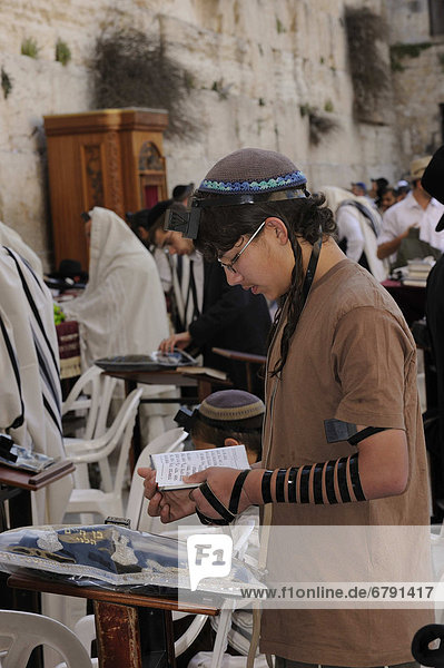 Orthodox Jewish boy reading a prayer book with a tefellin on his forehand and phylacteries on his arm  Torah cabinet at back at the Western Wall or Wailing Wall  Muslim Quarter  Jerusalem  Israel  Middle East  Southwest Asia