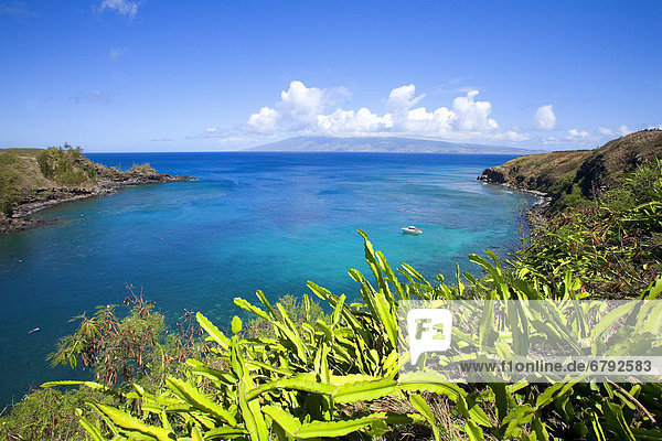 Helligkeit  Wasser  grün  Ignoranz  blau  Bürste  Hawaii  Maui