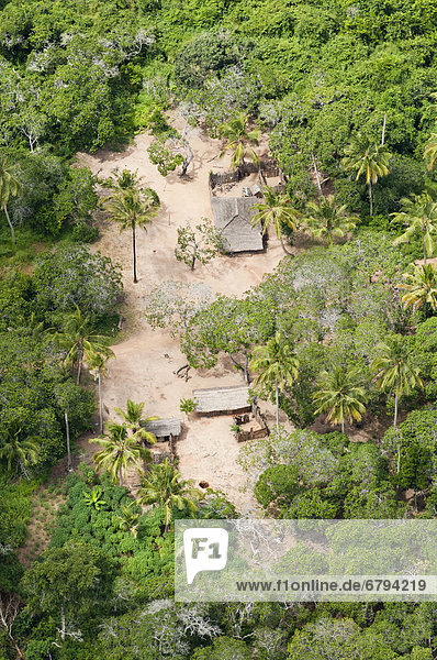Aerial view  smallholder's farm in a plantation  Dar es Salaam  Tanzania  Africa