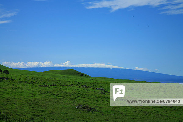Hawaii  Big Island  North Kohala  Ansicht von Mauna Kea aus grünen Hügel.
