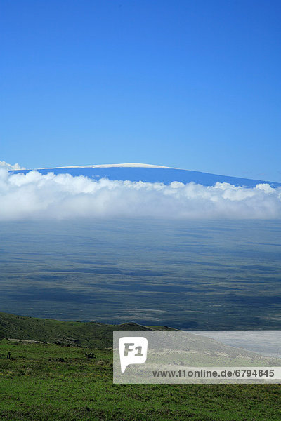 Hawaii  Big Island  North Kohala  Ansicht von Mauna Kea aus grünen Hügel.