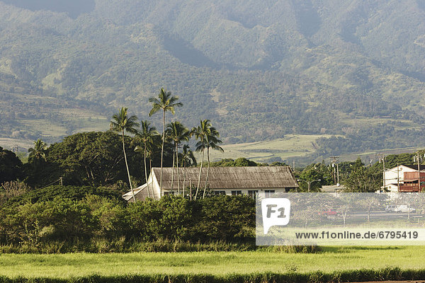 Hawaii North Shore Oahu