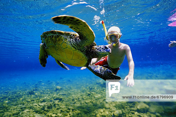 Hawaii  young boy snorkeling underwater with green sea turtle