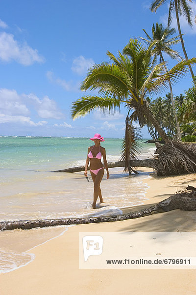 Tropisch  Tropen  subtropisch  Frau  gehen  Strand  Hingebung  blond  Hawaii  Oahu