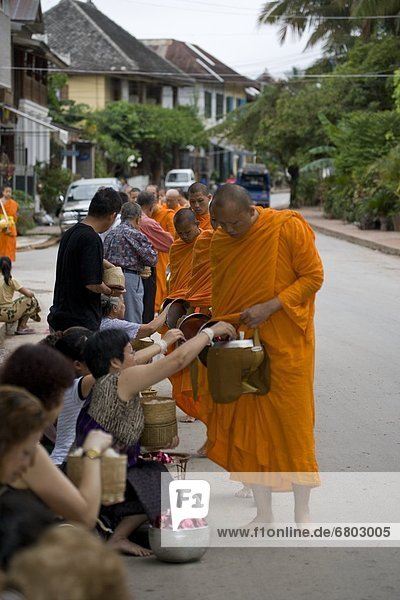 Buddhist Monks Receiving Offerings  Luang Prabang Laos
