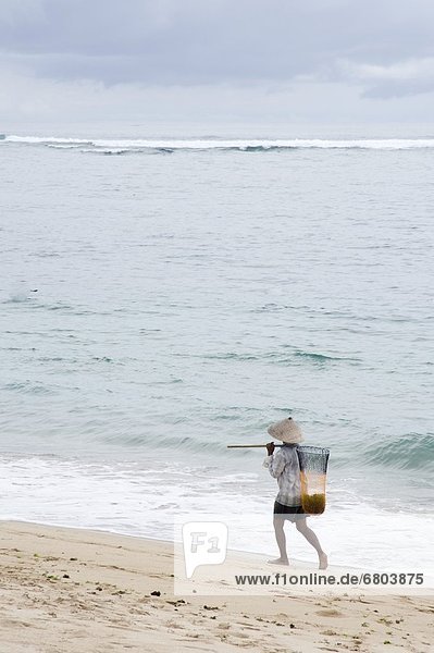 gehen  Strand  Mensch  Netz  angeln  Indonesien