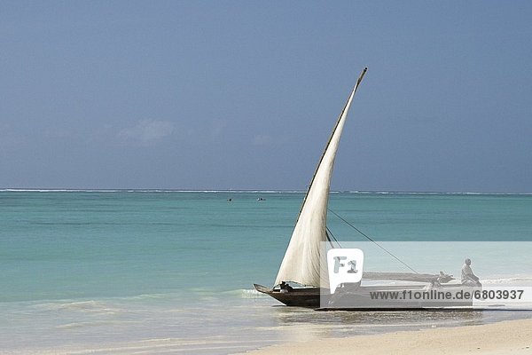 Mann  Strand  Boot  Tansania  Sansibar