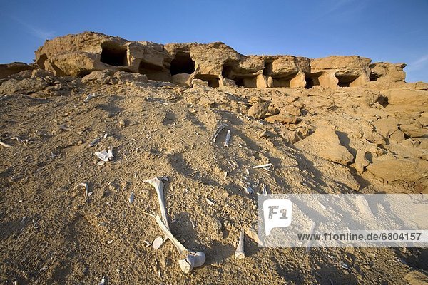 Tombs In Siwa Oasis  Siwa Egypt Africa