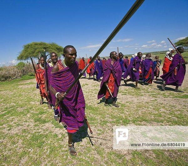 Masai Warrior's Dance  Tanzania  East Africa