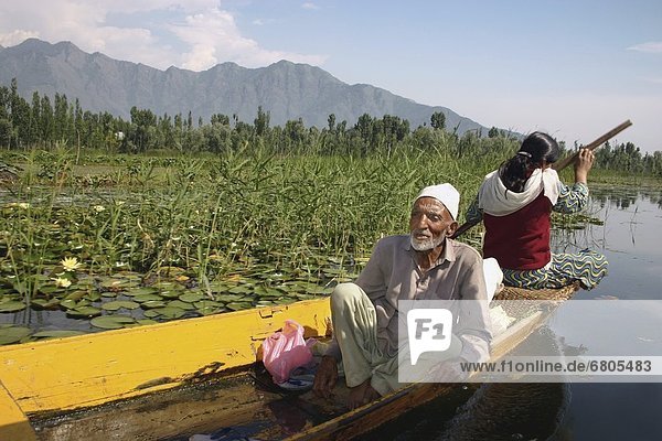 Man And Woman In A Boat  Dal Lake  Srinagar  Kashmir  India