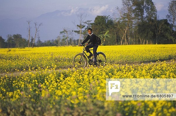 Boy In School Uniform Riding A Bike  Sauhara  Chitwan  Nepal