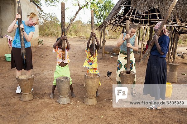 Young Women And Children Pounding Corn Into Flour By Hand  Manica  Mozambique  Africa