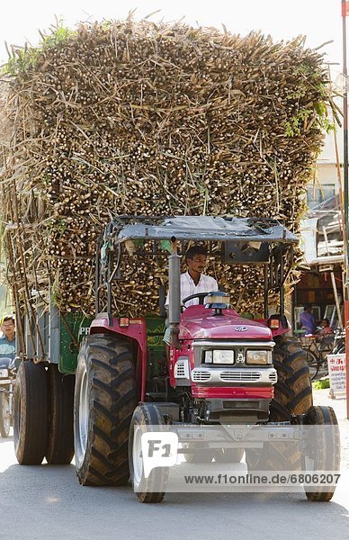 beladen  Spazierstock  Stock  ziehen  Straße  Traktor  Zucker  Indien  Markt  Tamil Nadu
